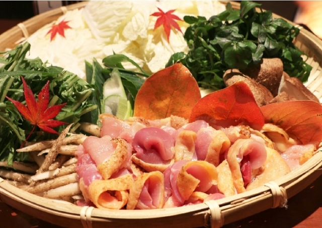 鹿児島 薩摩地鶏のおいしい選べるお鍋セット(2～3人前)